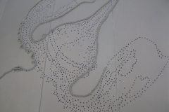 plankton quilt in progress copia